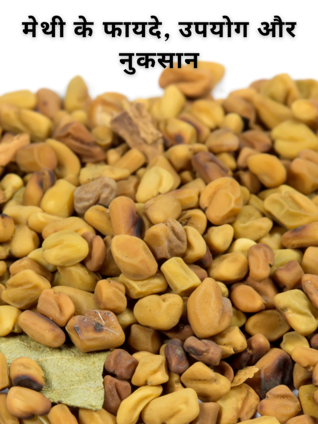 Fenugreek in Hindi: जानिए क्या है मेथी के फायदे, उपयोग और नुकसान|
