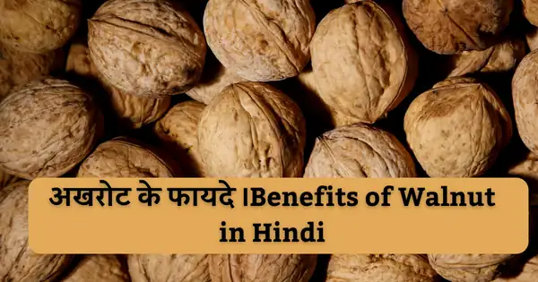 Walnuts in Hindi:  जानिए अखरोट खाने के फायदे एवं  नुकसान साथ ही अखरोट को कब और कितनी मात्रा में इस्तेमाल करना चाहिए| Benefits of Walnut (Akhrot) in Hindi