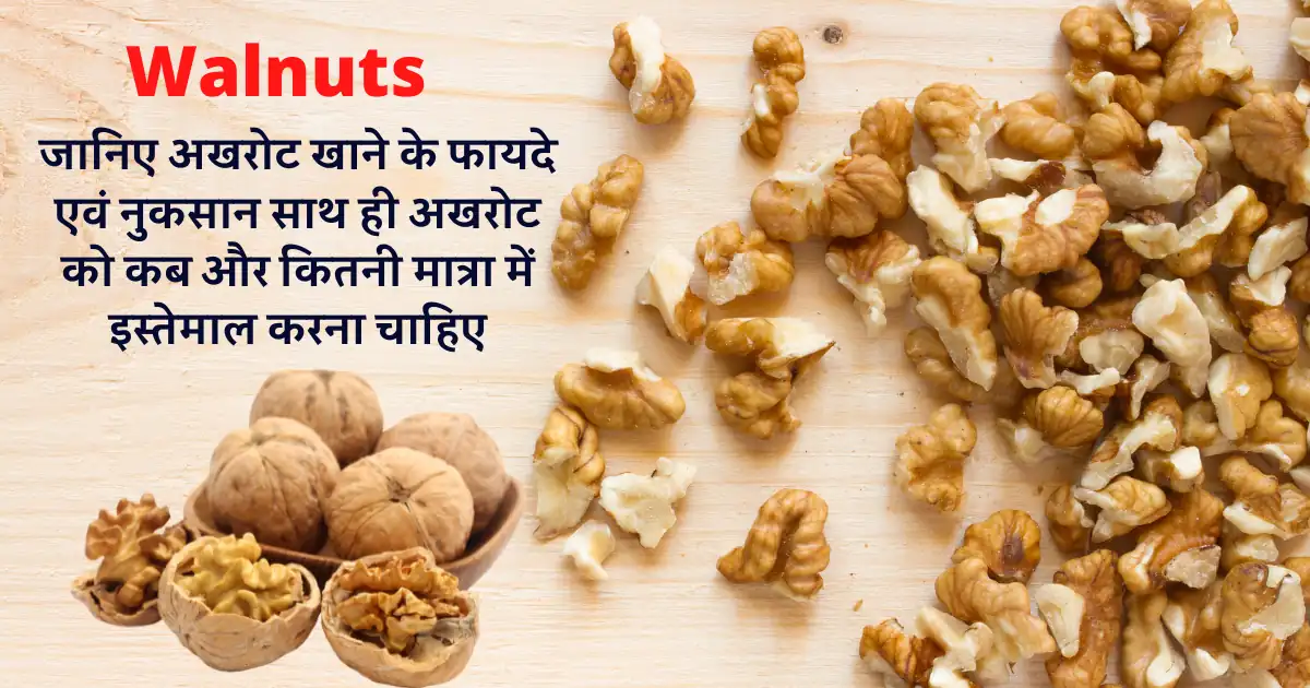 Walnuts in Hindi:  जानिए अखरोट खाने के फायदे एवं नुकसान साथ ही अखरोट को कब और कितनी मात्रा में इस्तेमाल करना चाहिए| Benefits of Walnut (Akhrot) in Hindi