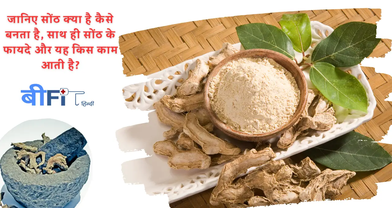 dry ginger sonth in hindi