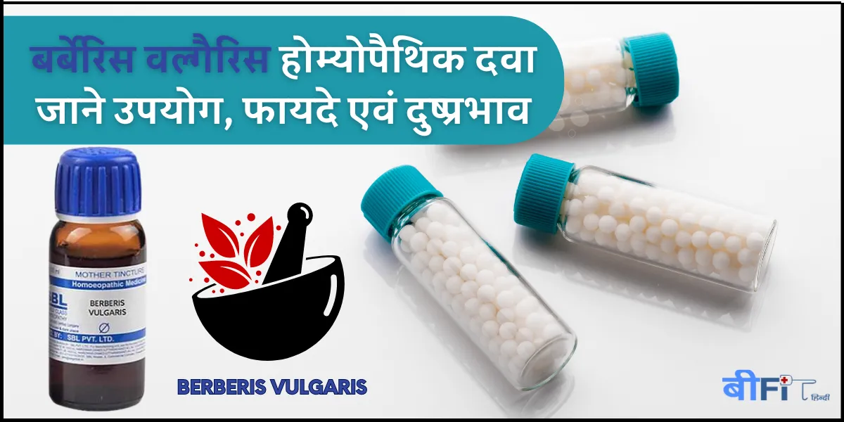 Berberis Vulgaris in Hindi