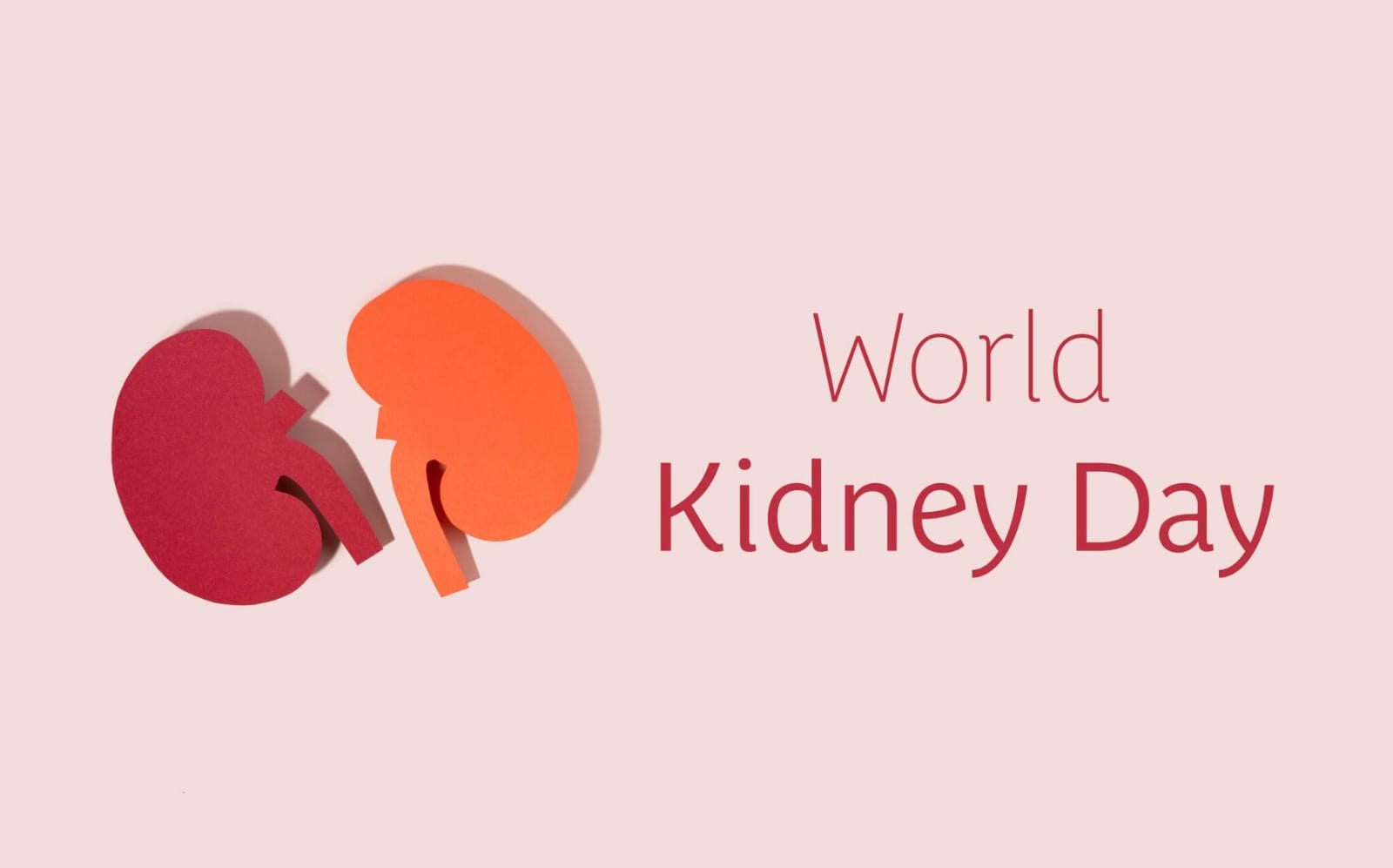 World Kidney Day 2024: किडनी रहेंगी स्वस्थ्य अगर कंट्रोल में रहेगा आपका बीपी और शुगर का लेवल 1 world kidney day 2024