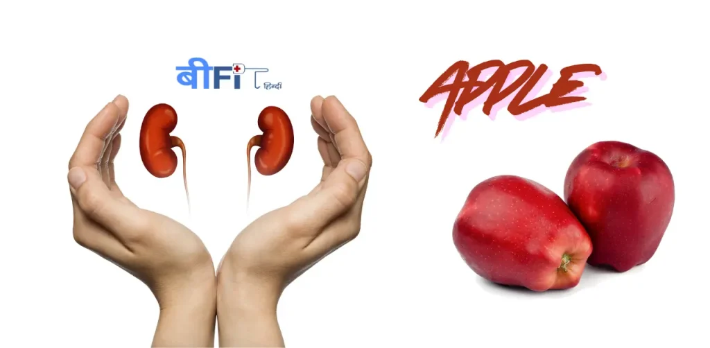 क्या आप जानते हैं ये फल किडनी को लंबे समय तक स्वस्थ रखते हैं ? | Best Fruits for Kidney Health in Hindi 2 Best Fruits for Kidney Health