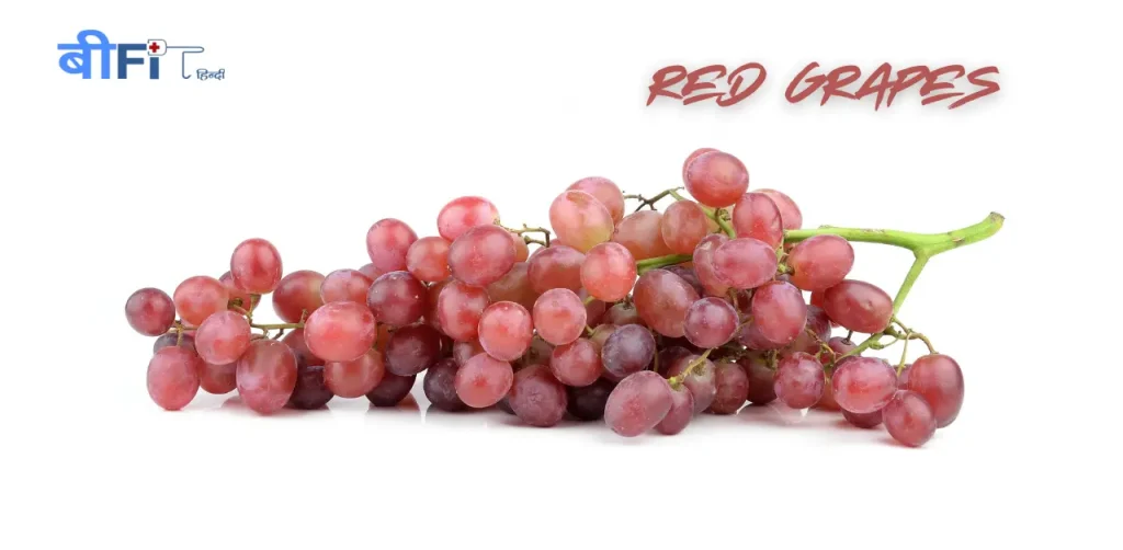क्या आप जानते हैं ये फल किडनी को लंबे समय तक स्वस्थ रखते हैं ? | Best Fruits for Kidney Health in Hindi 5 Best Fruits for Kidney Health