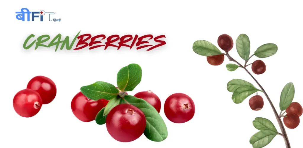 क्या आप जानते हैं ये फल किडनी को लंबे समय तक स्वस्थ रखते हैं ? | Best Fruits for Kidney Health in Hindi 8 Best Fruits for Kidney Health